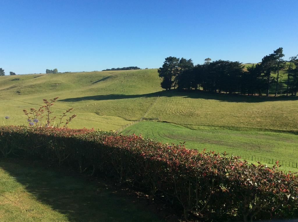 Ataahua Homestay Feilding Eksteriør billede